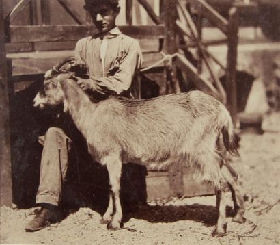 null Photographe non identifié

Étude animalière. Chèvre et son commis de ferme,...