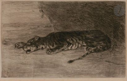 Eugène DELACROIX (1798-1863) Tigre couché à l’entrée de son antre. Vers 1828-1830....