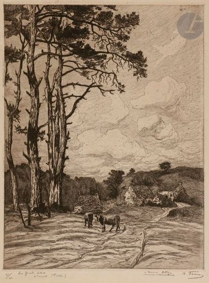 Amédée Féau (1872-1952) Les Grands arbres, Le Conquet (Finistère). 1909. Eau-forte....