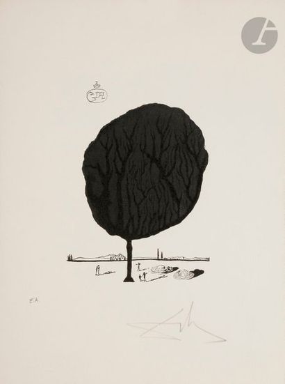 Salvador DALI (1904-1989) 5 pl. pour Babaou. 1978. Gravure sur bois. Chaque [277 x 380]....