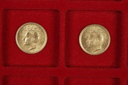 null 2 pièces 1/2 Pahlavi en or à l'effigie à l'effigie du Shah d'Iran

Frais acheteur...