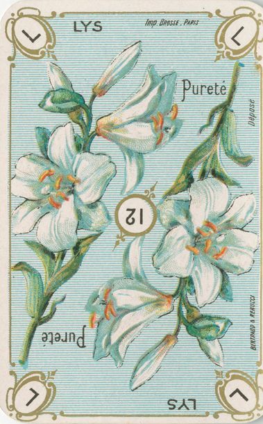 null Le Language des fleurs : Bertrand & Renucci, 1907 ; 52/52 cartes ; chromolithographie...
