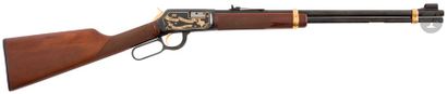 null Carabine Winchester modèle 9422 « Texas - The Lone star state - One of One hundred...