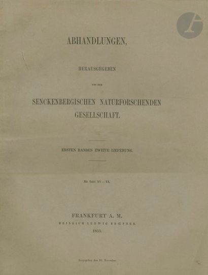Abhandlungen, Herausgegeben von der Senckenbergischen...