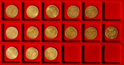 null Lot de 14 Louis d'or, dans un sachet numéroté 2017072
- 11 pièces Type Louis...