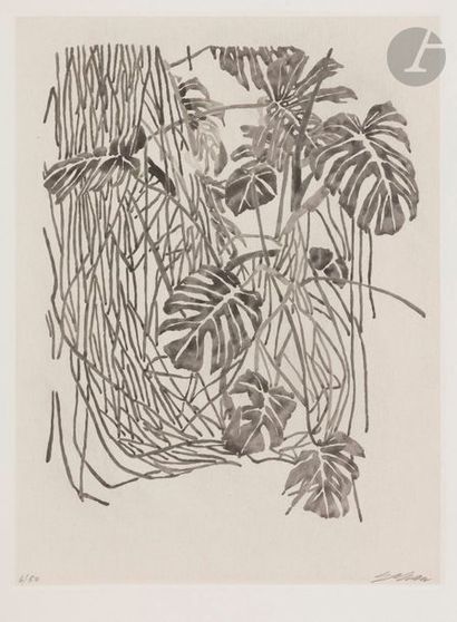 null Sam SZAFRAN [franco-polonais] (1934-2019)
Philodendron, vers 1980
Aquatinte.
Épreuve...