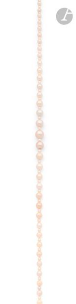 null Collier de 45 perles fines en chute scandées de perles plus petites (non testées),...