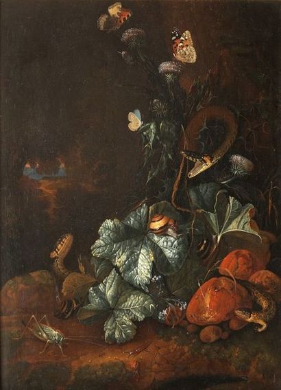 null Carl Wilhelm de HAMILTON (Bruxelles 1668- Augsbourg 1754)

Serpents, lézard,...