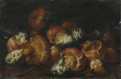 null Attribué à Felice BOSELLI (1651-1732)

Champignons et oiseaux 

Toile

28,5...