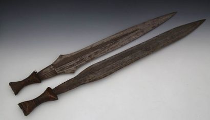null AZANDE R.D. CONGO Lot de 2 longues épées			

Lames finement décorées,manches...
