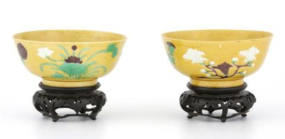 null CHINE Période Kangxi (1654-1722)

DEUX BOLS en porcelaine et émail sancai (crème,...
