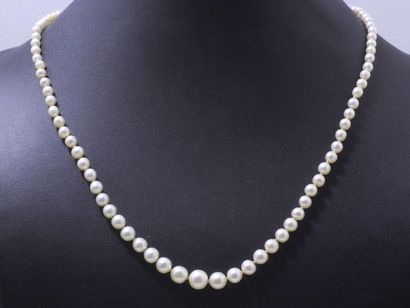 null Collier composé d'une chute de perles de culture d'environ 2.8 à 7.6 mm, agrémenté...