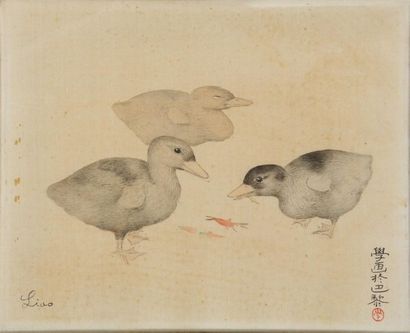 null Liao XINXUE (1900-1958)

Cannetons

Encre et couleurs sur toile 

Signée en...