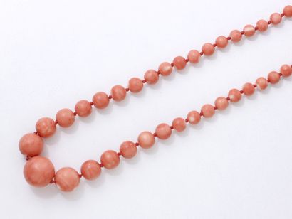 null COLLIER composé d'une chute de perles de corail ''peau d'ange'' d'environ 5.7...