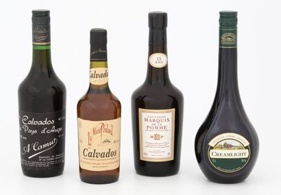 null LOT of 4 bottles CALVADOS including 

- 1 Bottle La Mère Poulard - year 1997

-...