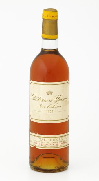 null 1 Bottle CHÂTEAU D'YQUEM Lur Saluces - Sauternes

Year 1977

(Label slightly...