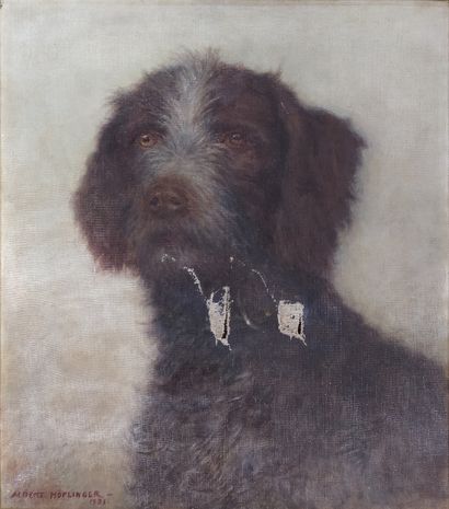 null Albert HÖFLINGER (1855-1936)

Portrait de chien de chasse, 1931

HUILE SUR TOILE

Signée...