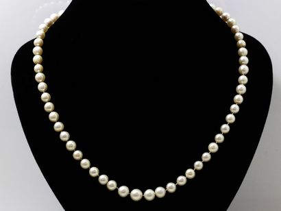 null Collier composé d'un rang de perles de culture baroquées d'environ 7.1 à 9.2...