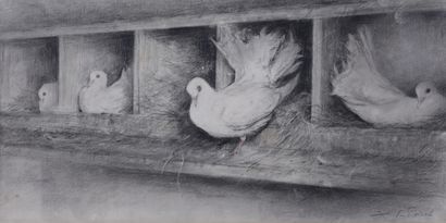 null Doves with nest

Charcoal and pastel

Signed lower right

Sight 20,2 x 41 cm...