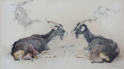 null Etude de chèvres

Fusain et pastel

Signé en bas à droite

20,5 x 36 cm

Sous...