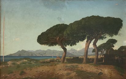 null Joseph CONTINI (1827-c. 1900)

Pins dans la baie de Cannes vers Mandelieu

HUILE...