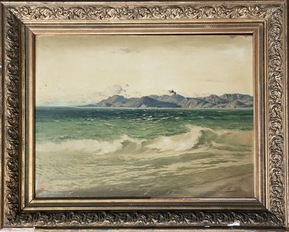 null Félix PILLE (1848-1919)

Vue de la baie de Cannes vers Mandelieu

HUILE SUR...