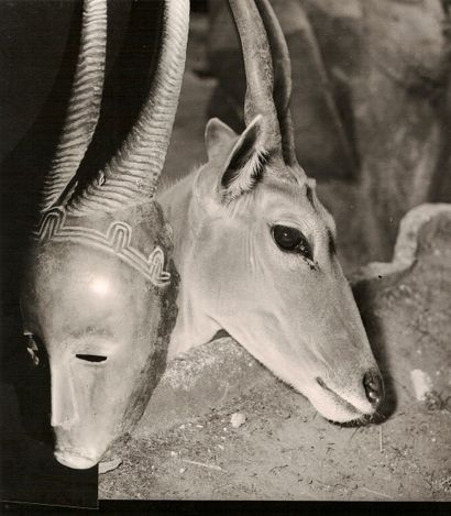 André STEINER (1901-1978)

Masque africain...
