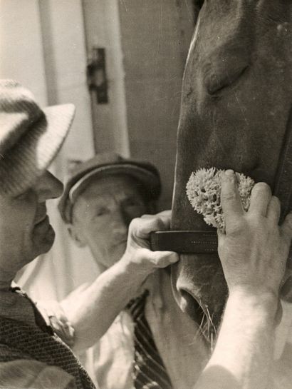 André STEINER (1901-1978)

Equitation, années...