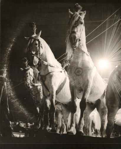 null André STEINER (1901-1978)

Au cirque, chevaux et éléphants, vers 1938.

2 épreuves...