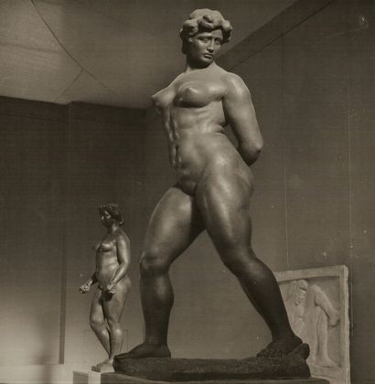 André STEINER (1901-1978)

Maillol, sculptures,...