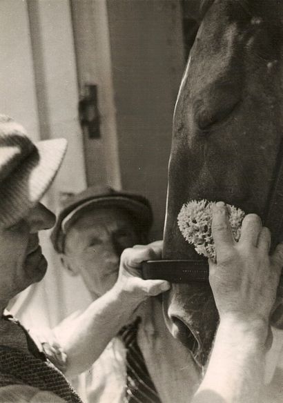 null André STEINER (1901-1978)

Equitation, années 1930.

4 épreuves gélatino-argentiques...