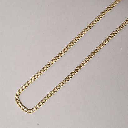 GOLD CHAIN Modern foreign work with flat...
