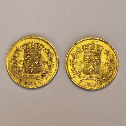 null 2 PIECES OF 40 FRENCH GOLD Louis XVIII - 1818 and 1819
P. 25.7 g
(Rubbed, sold...