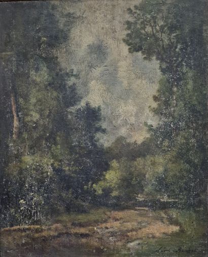 null Léon RICHET (1847-1907)
Paysage de sous-bois
HUILE SUR PANNEAU
Signée en bas...
