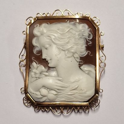 null Circa 1920 agate CAMEE BRUSH depicting a woman in profile holding flowering...