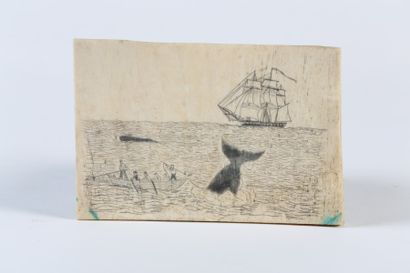 null OMOPLATE gravée d’une scène de pêche à la baleine. XIXème siècle - Haut. : 12,5...