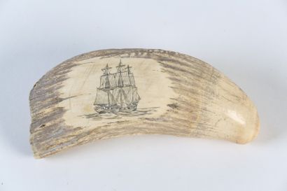 null DENT de CACHALOT ou Scrimshaw, gravée d’un trois-mâts

Long. : 18,5 cm



Spécimen...