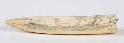null CANINE D’HIPPOPOTAME, gravée d’une scène de pêche à la baleine. XIXème siècle...