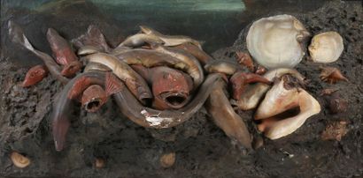 null TABLEAU - Nature morte de poissons et coquillages. Toile peinte marouflée en...