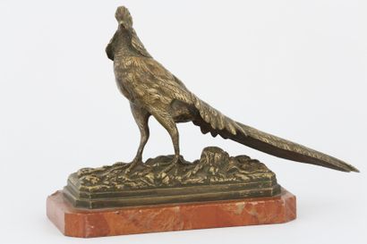 null Edouard Paul DELABRIERRE (1829-1912) - Faisan doré dressé - Bronze à patine...