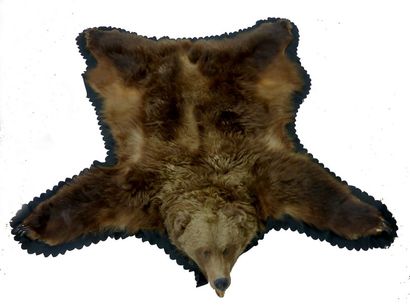 null Peau de grizzli d'Alaska Ursus Arctos 1.85 x 1.80 m, peau montée sur tissu -...