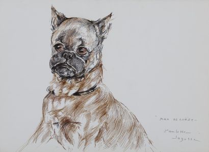 null Paulette LAGOSSE - " Max DELUEZE " - Portrait de chien Boxer - Encre sur papier...