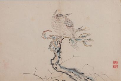 null Chine ou Japon - Page d'album représentant un hibou branché signé Li Zhi (?)...