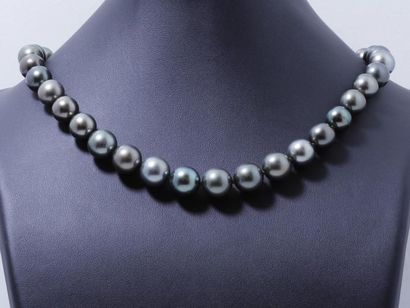 null Beau collier composé d'une chute de 37 perles de culture grises de Tahiti d'environ...
