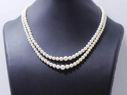 null Collier composé de 2 chutes de perles de culture d'environ 3.5 à 7.9 mm. Il...