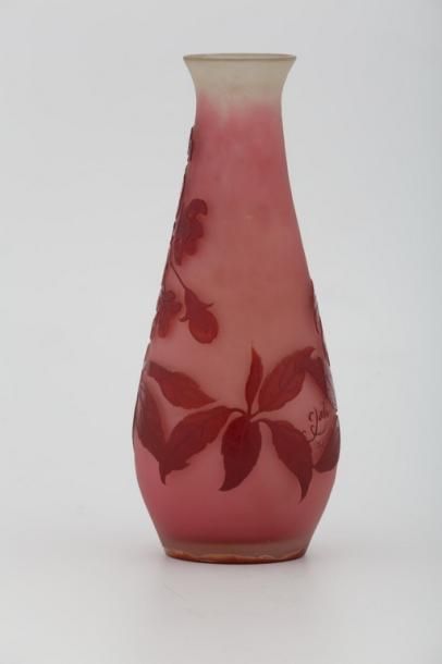 null GALLÉ (Ets)

VASE PIRIFORME aux fleurs et feuillages

Verre dégagé à l'acide

Signé

H....