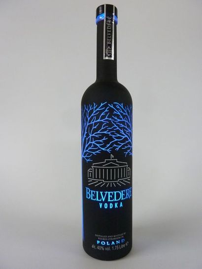 null 12 MAGNUMS (175 cl) Vodka "Midnight Saber" BELVEDERE

Bouteilles éclairantes
Lot...