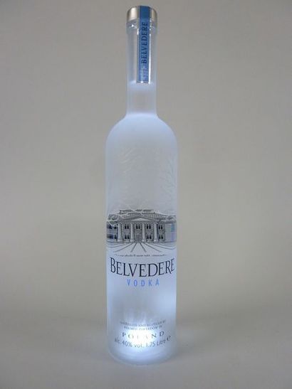 null 12 MAGNUMS (175 cl) Vodka BELVEDERE

Bouteilles éclairantes
Lot judiciaire (frais...