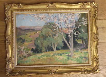 null Emile WEGELIN (1875-1962)

Cerisiers en fleurs

Huile sur panneau

Non signée...