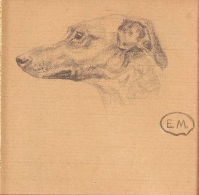 null Edouard MERITE (Neubourg 1867 - Rueil-Malmaison 1941)

Etude de bulldog 

Huile...